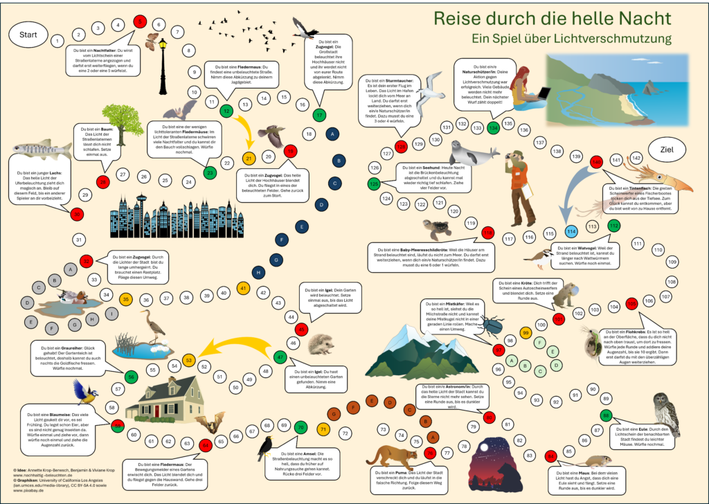 Brettspiel Reise durch die helle Nacht